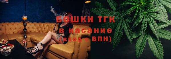 СК Алексин