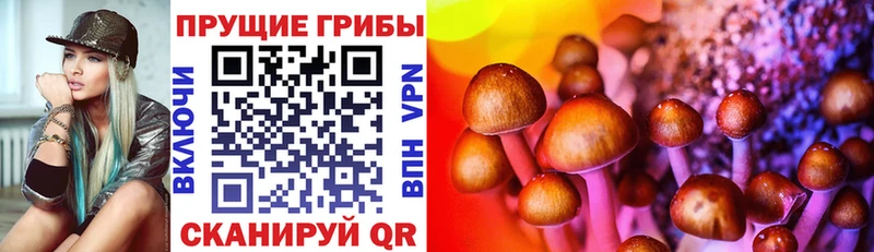 сайты даркнета Telegram  закладки  Брюховецкая  Псилоцибиновые грибы Cubensis 
